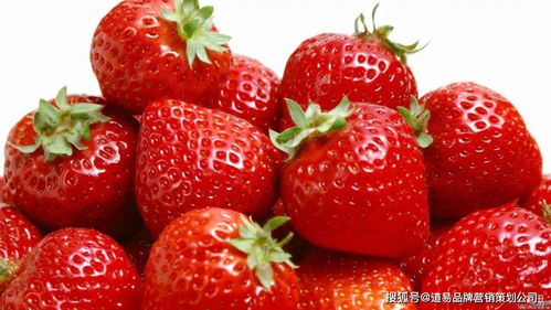 食品品牌營銷策劃公司 以消費(fèi)者洞察為核心，驅(qū)動(dòng)品牌價(jià)值增長(zhǎng)